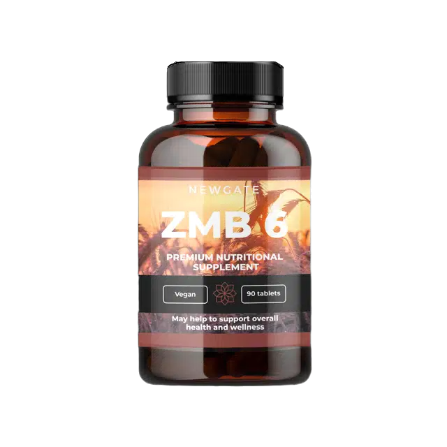 NEWGATE ZMB 6  90TAB